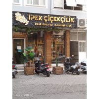 Special payment link
